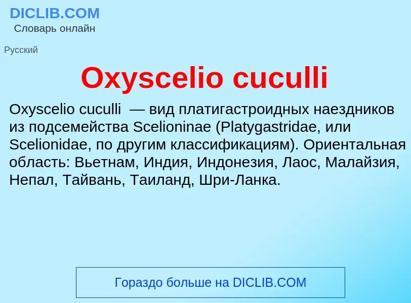 Что такое Oxyscelio cuculli - определение