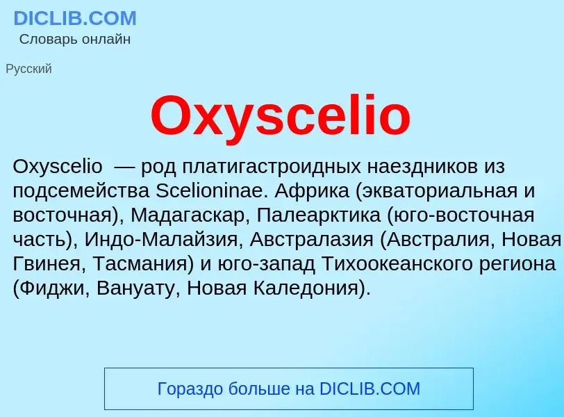 Wat is Oxyscelio - definition