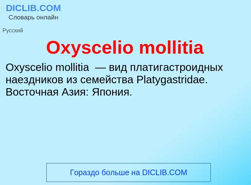 Что такое Oxyscelio mollitia - определение