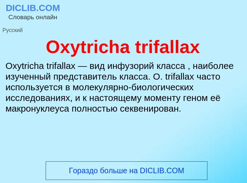 Что такое Oxytricha trifallax - определение