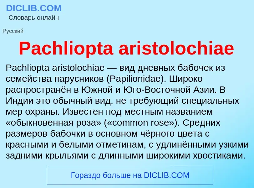 Что такое Pachliopta aristolochiae - определение