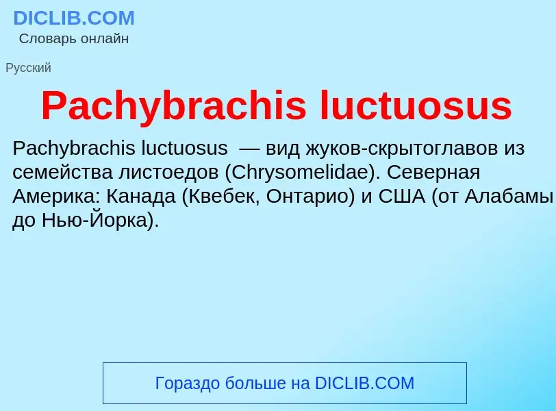 Что такое Pachybrachis luctuosus - определение