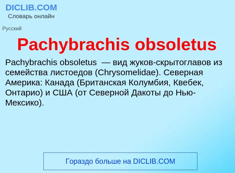 Что такое Pachybrachis obsoletus - определение