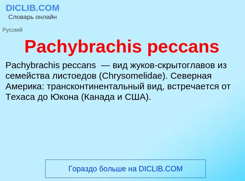 Что такое Pachybrachis peccans - определение