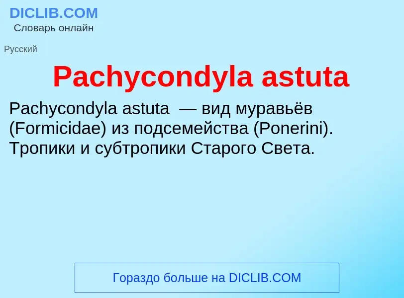 Что такое Pachycondyla astuta - определение