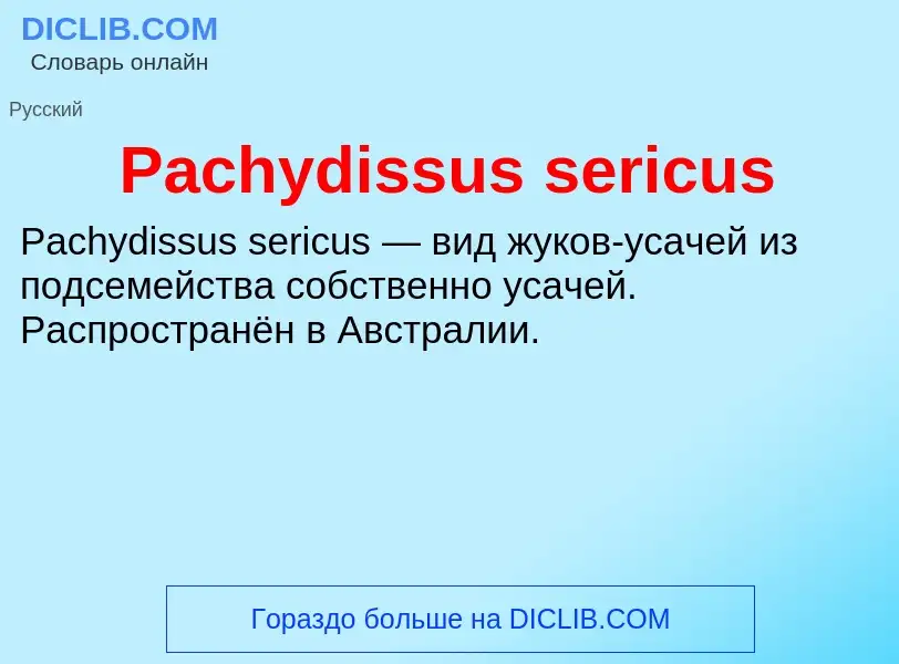 Что такое Pachydissus sericus - определение