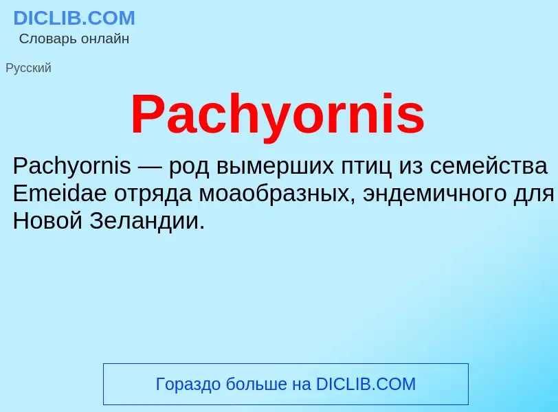 Что такое Pachyornis - определение