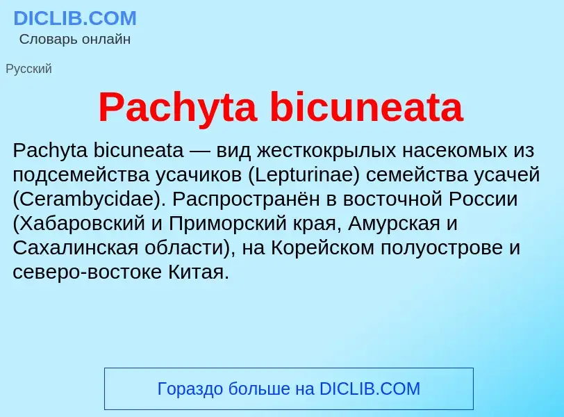 ¿Qué es Pachyta bicuneata? - significado y definición