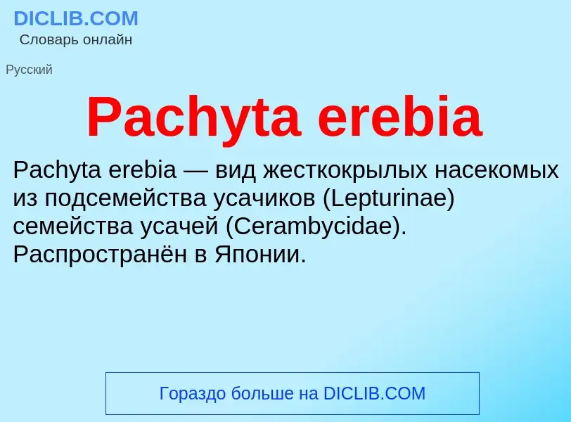 Что такое Pachyta erebia - определение