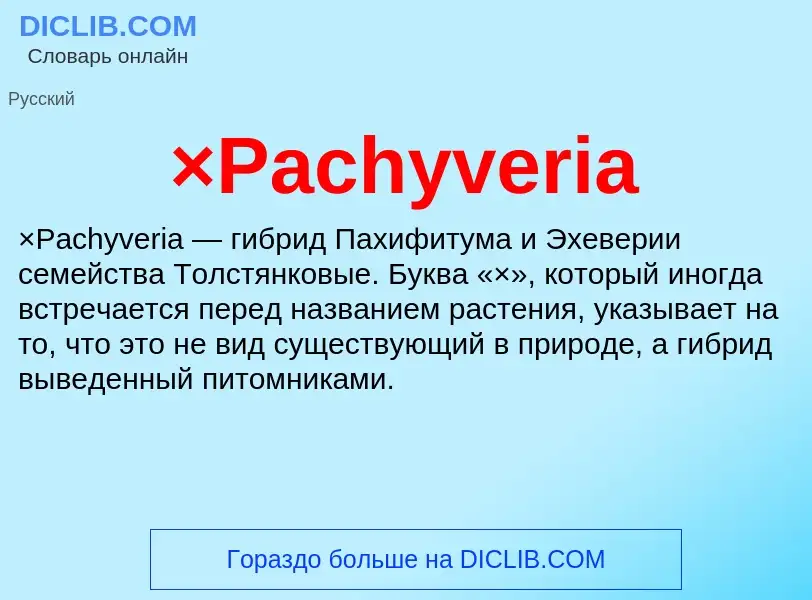 Что такое ×Pachyveria - определение