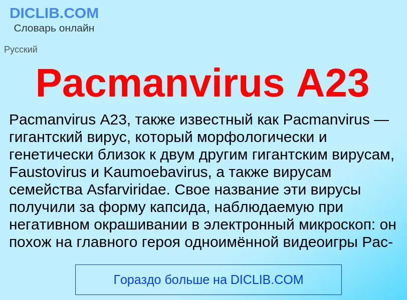 Что такое Pacmanvirus A23 - определение