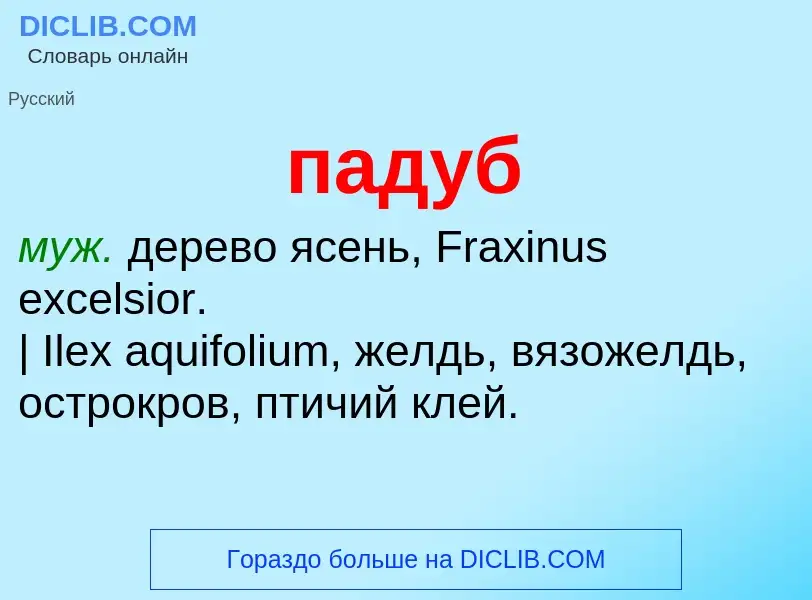 Wat is падуб - definition