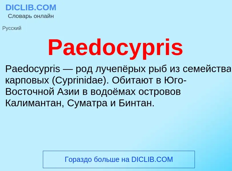 ¿Qué es Paedocypris? - significado y definición