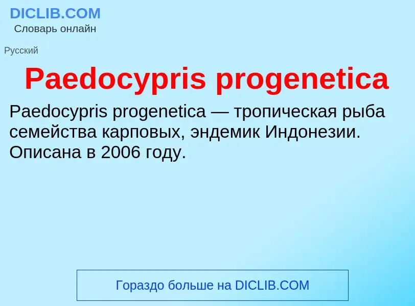 ¿Qué es Paedocypris progenetica? - significado y definición