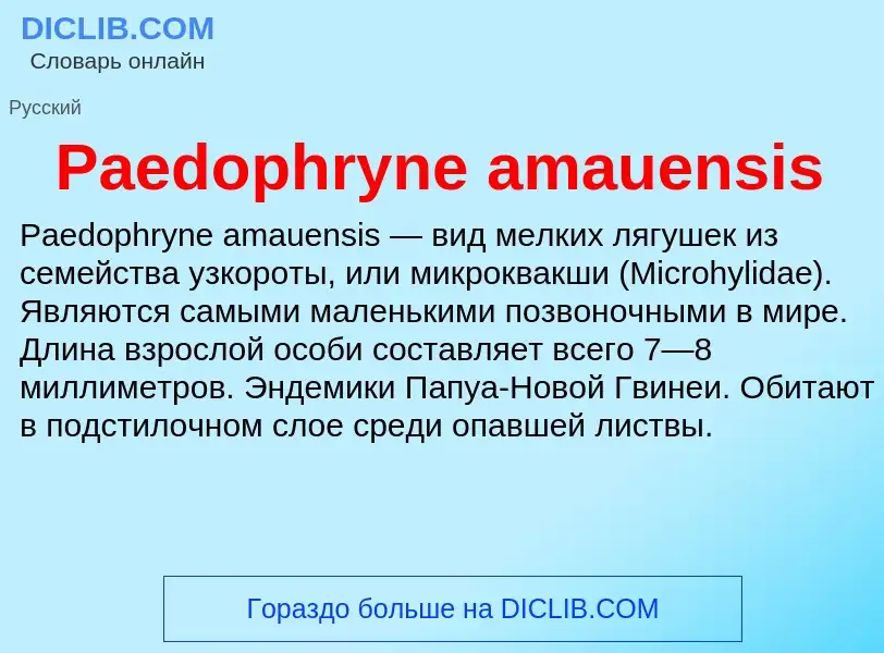 ¿Qué es Paedophryne amauensis? - significado y definición