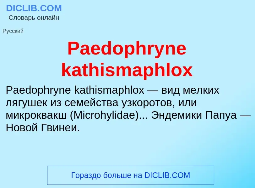 ¿Qué es Paedophryne kathismaphlox? - significado y definición