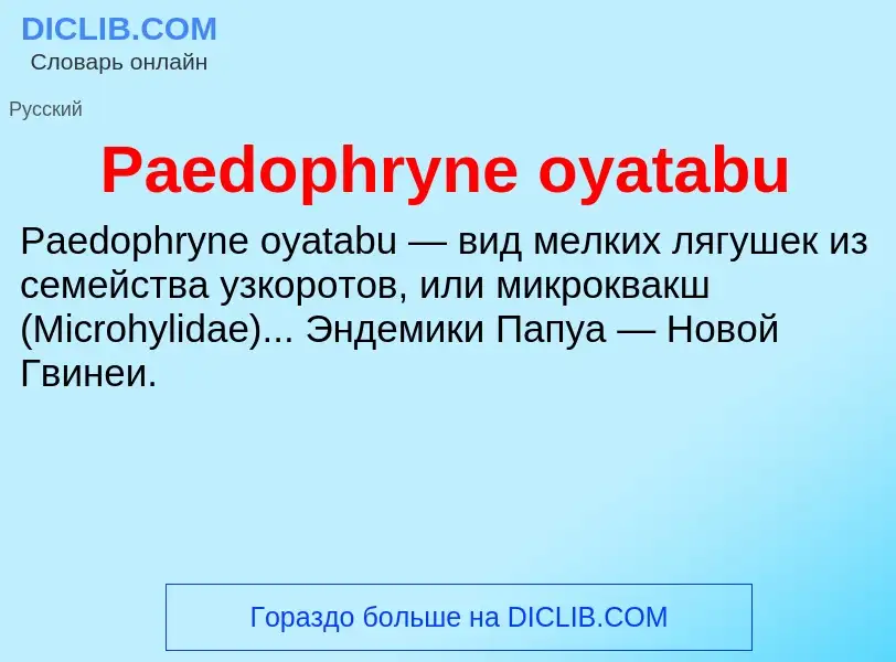 ¿Qué es Paedophryne oyatabu? - significado y definición