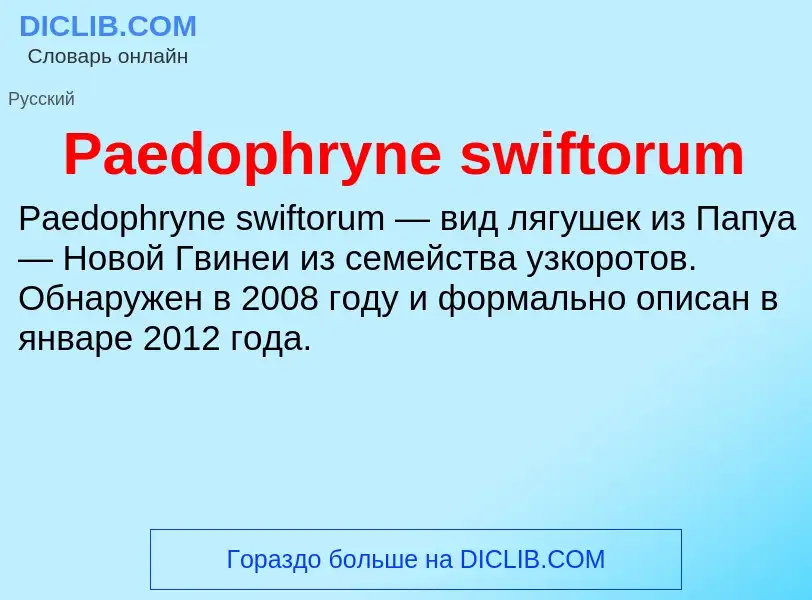 ¿Qué es Paedophryne swiftorum? - significado y definición