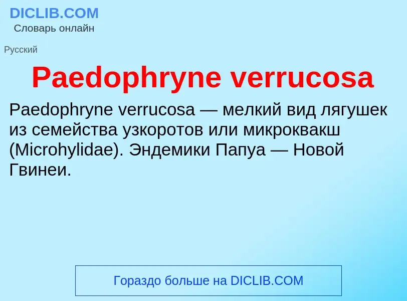 ¿Qué es Paedophryne verrucosa? - significado y definición