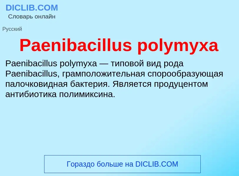 ¿Qué es Paenibacillus polymyxa? - significado y definición