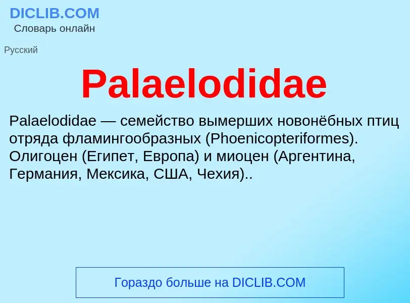 ¿Qué es Palaelodidae? - significado y definición