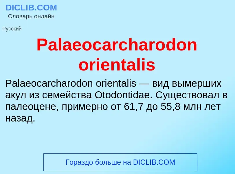 ¿Qué es Palaeocarcharodon orientalis? - significado y definición