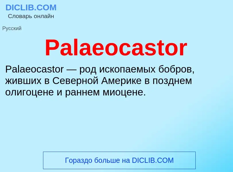 ¿Qué es Palaeocastor? - significado y definición