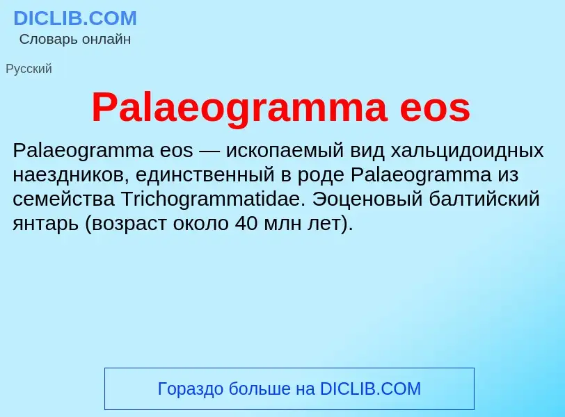 What is Palaeogramma eos - meaning and definition