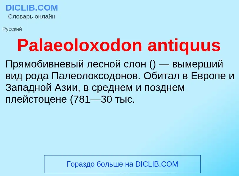 ¿Qué es Palaeoloxodon antiquus? - significado y definición