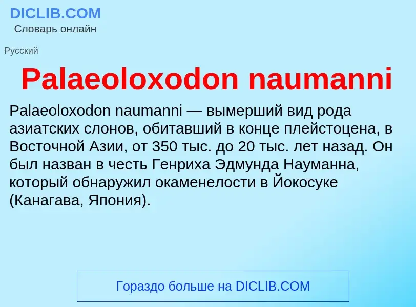 ¿Qué es Palaeoloxodon naumanni? - significado y definición