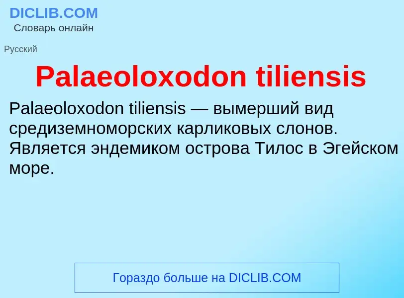 What is Palaeoloxodon tiliensis - meaning and definition