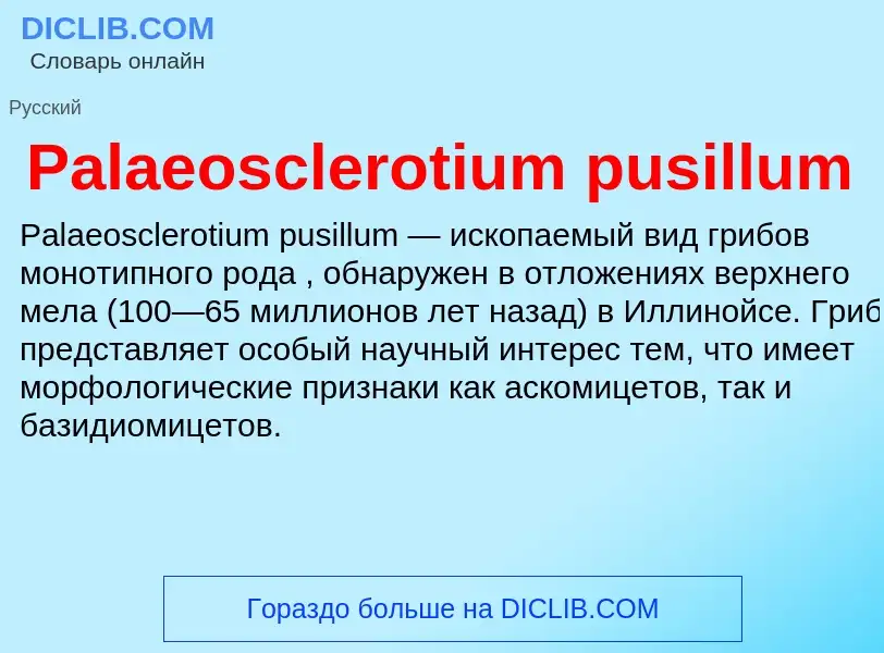 ¿Qué es Palaeosclerotium pusillum? - significado y definición