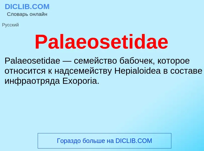 Что такое Palaeosetidae - определение