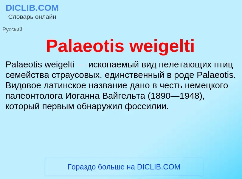 ¿Qué es Palaeotis weigelti? - significado y definición