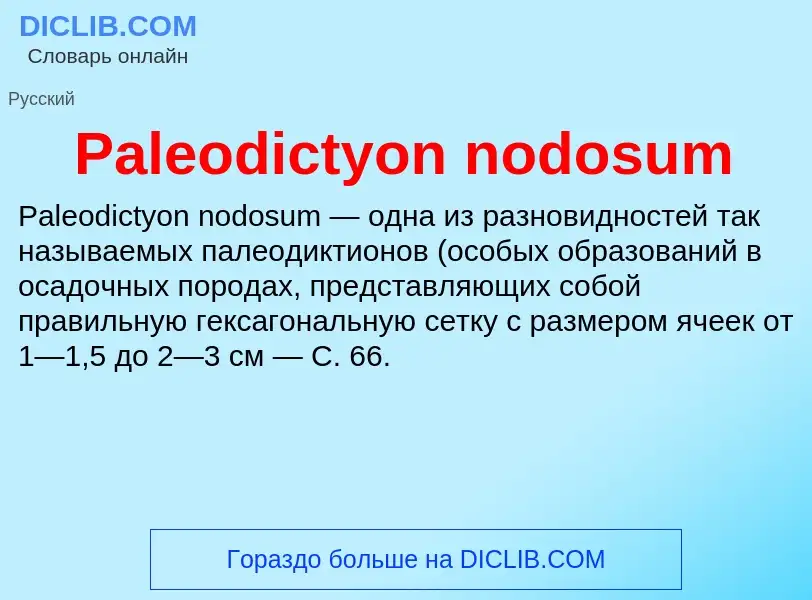 ¿Qué es Paleodictyon nodosum? - significado y definición