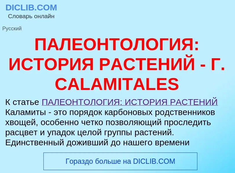 Что такое ПАЛЕОНТОЛОГИЯ: ИСТОРИЯ РАСТЕНИЙ - Г. CALAMITALES - определение