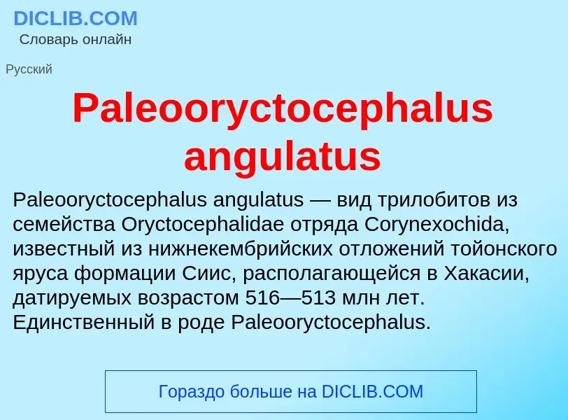 ¿Qué es Paleooryctocephalus angulatus? - significado y definición