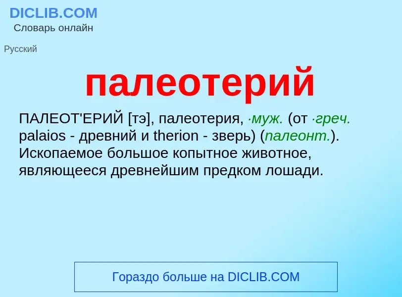 Was ist палеотерий - Definition