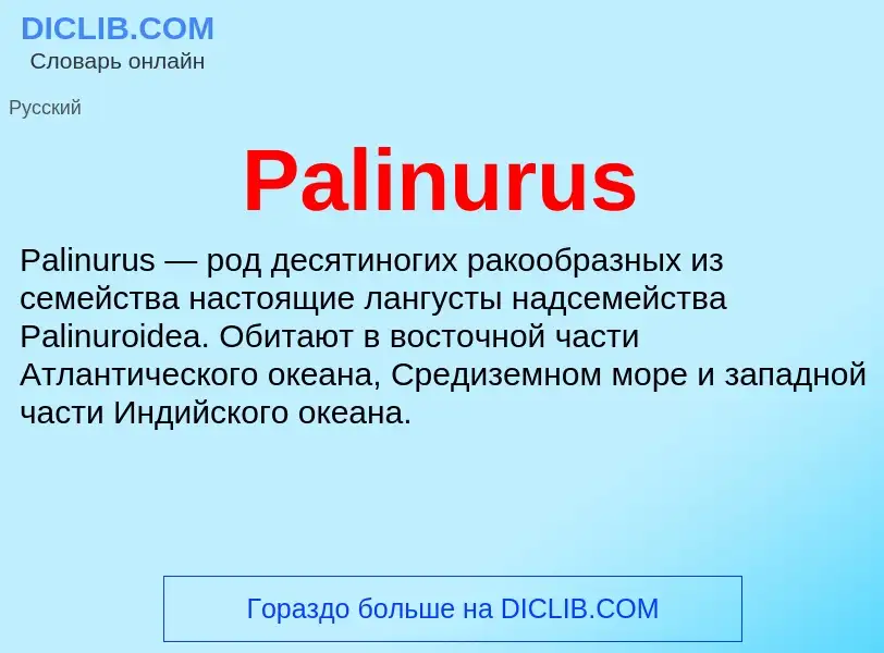 ¿Qué es Palinurus? - significado y definición