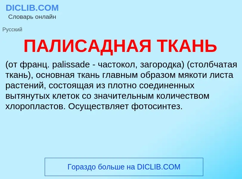 Wat is ПАЛИСАДНАЯ ТКАНЬ - definition