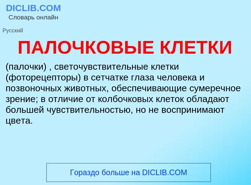 What is ПАЛОЧКОВЫЕ КЛЕТКИ - definition