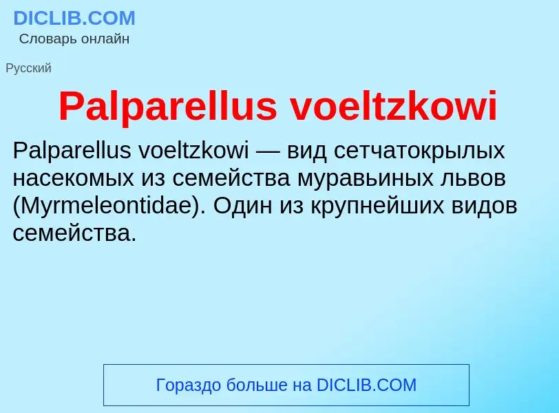 Что такое Palparellus voeltzkowi - определение