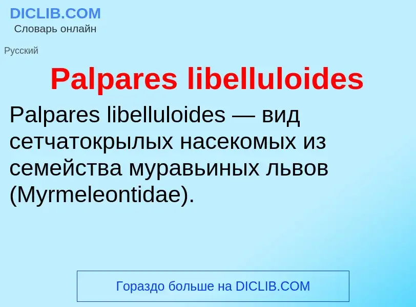 ¿Qué es Palpares libelluloides? - significado y definición