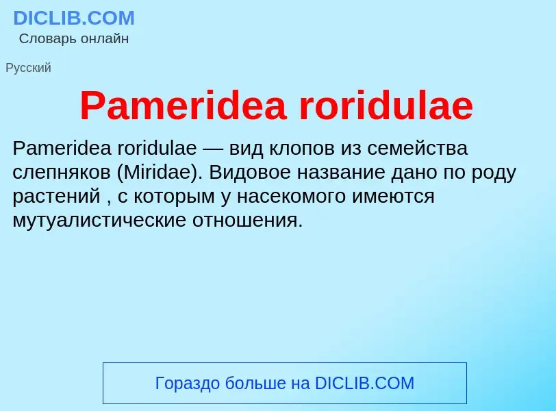 ¿Qué es Pameridea roridulae? - significado y definición