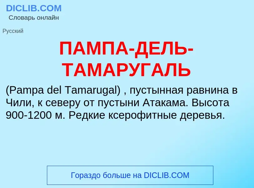 What is ПАМПА-ДЕЛЬ-ТАМАРУГАЛЬ - definition