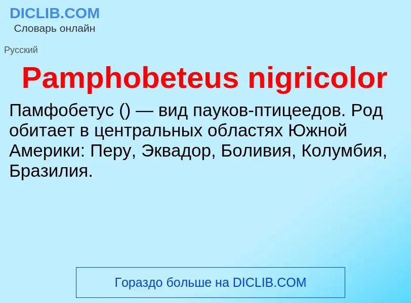 ¿Qué es Pamphobeteus nigricolor? - significado y definición