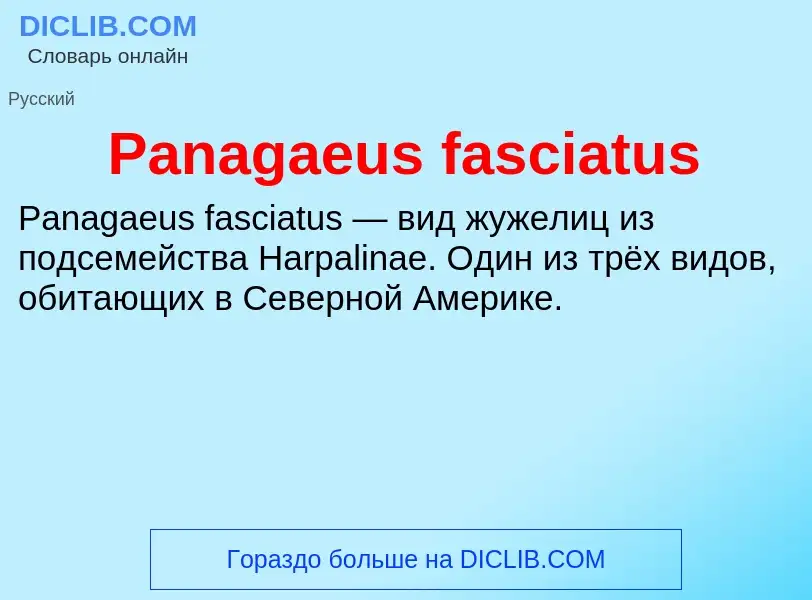 ¿Qué es Panagaeus fasciatus? - significado y definición