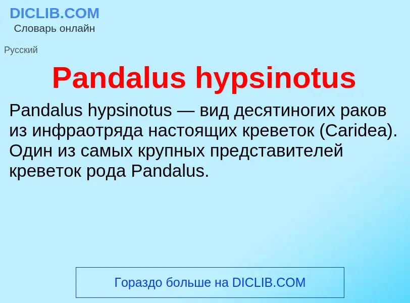 Что такое Pandalus hypsinotus - определение