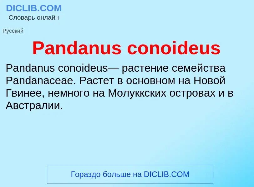 ¿Qué es Pandanus conoideus? - significado y definición