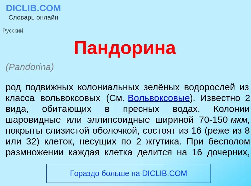 What is Пандор<font color="red">и</font>на - definition